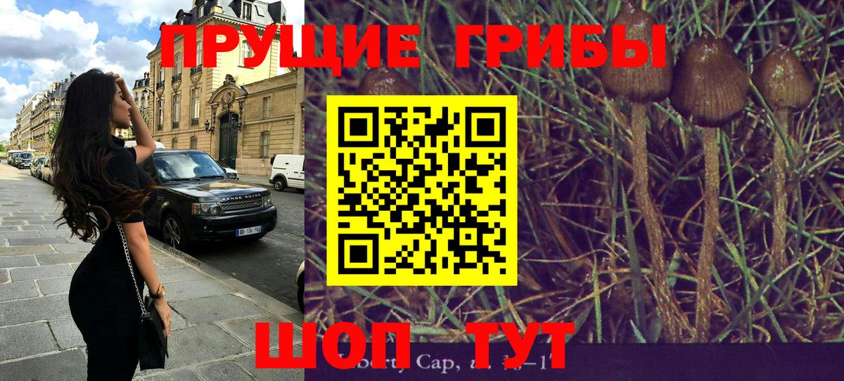 Псилоцибиновые грибы Psilocybine cubensis  Галлюциногенные грибы Cubensis  Кимры  Вход с VPN 